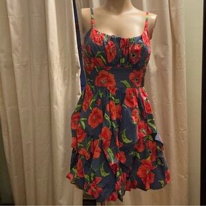B Darlin Blue Dress with Red Floral Accents